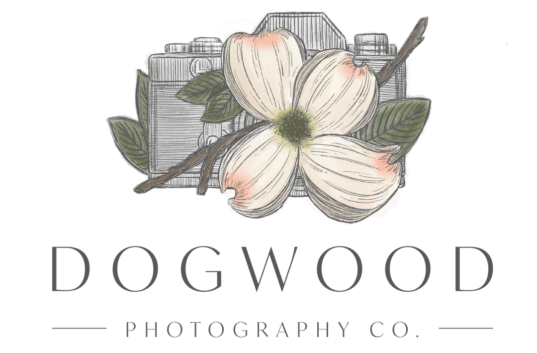 dogwood photography